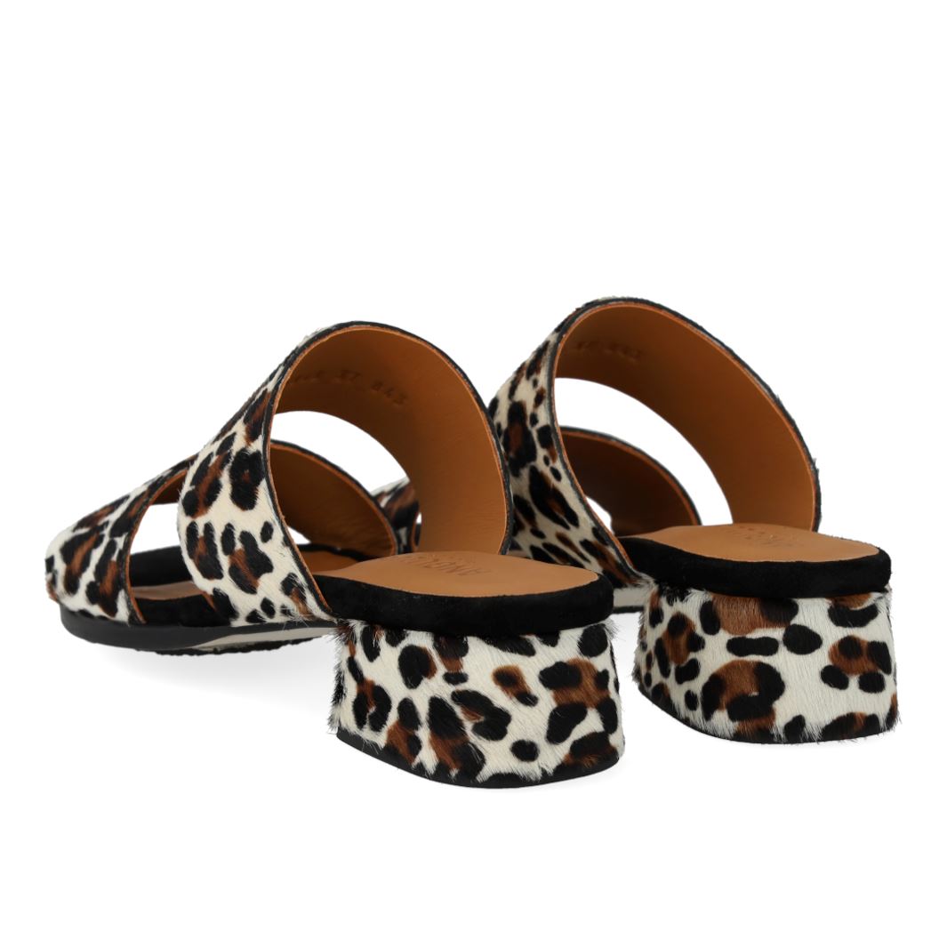 ANGULUS - 5848-102 - Leopard/Black