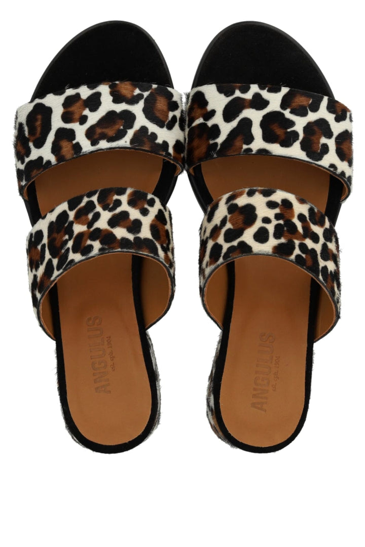 ANGULUS - 5848-102 - Leopard/Black